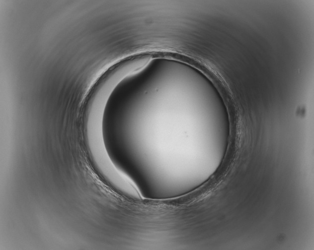 X0000114990926200911091331