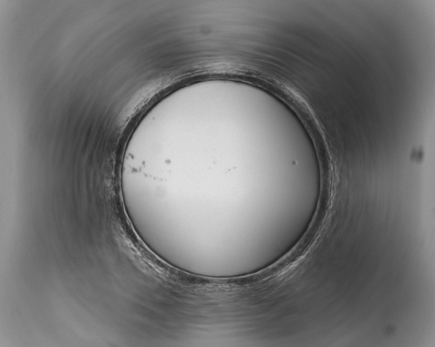 X0000114990930200911091331