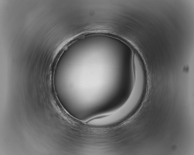 X0000114990933200911091331