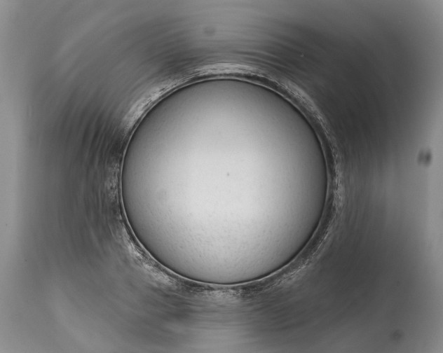 X0000114990937200911091331
