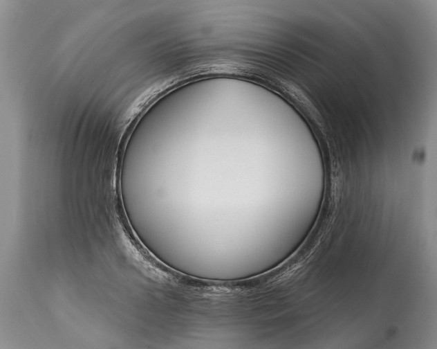 X0000114990938200911091331