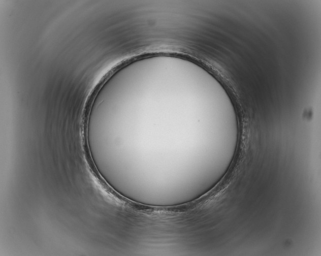 X0000114990942200911091332