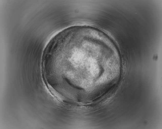 X0000114990943200911091332