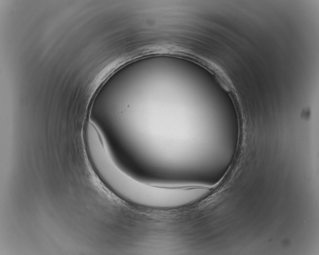 X0000114990946200911091332
