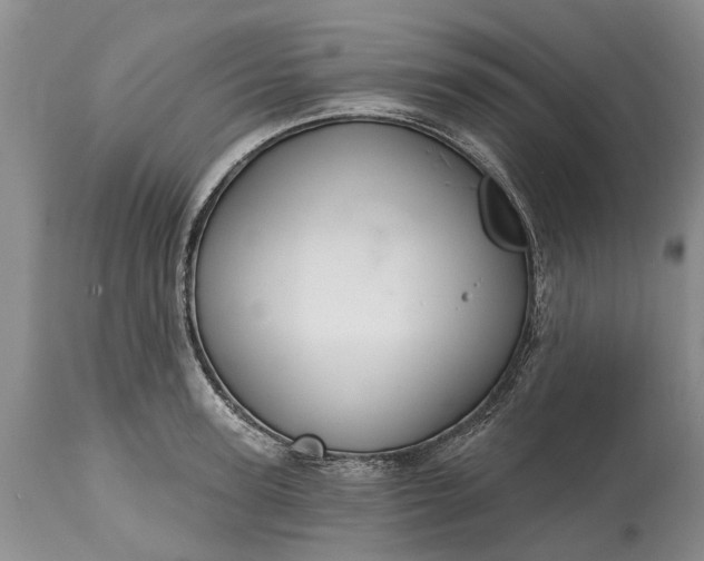 X0000114990947200911091332