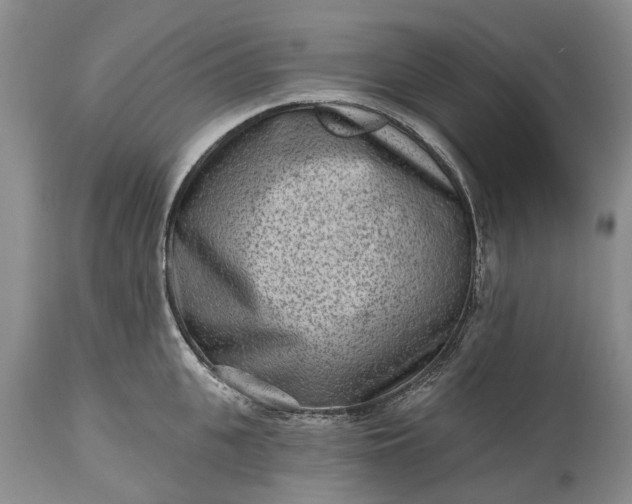 X0000114990951200911091332