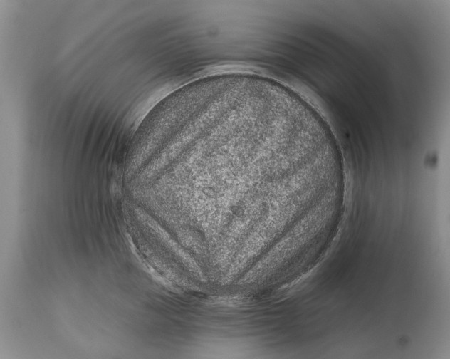 X0000114990953200911091332