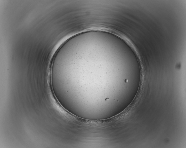 X0000114990955200911091332