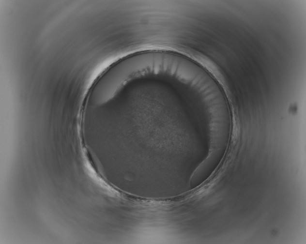 X0000114990958200911091332