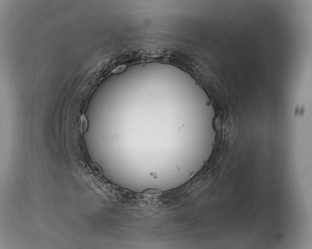 X0000114990961200911091331