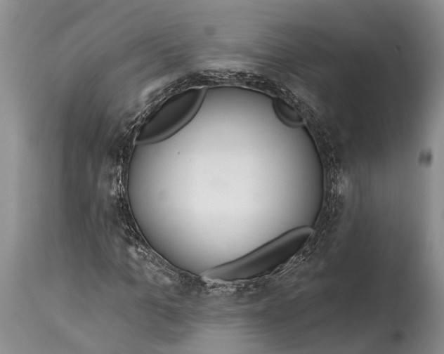 X0000114990965200911091331