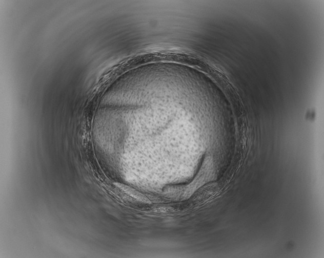 X0000114990966200911091331