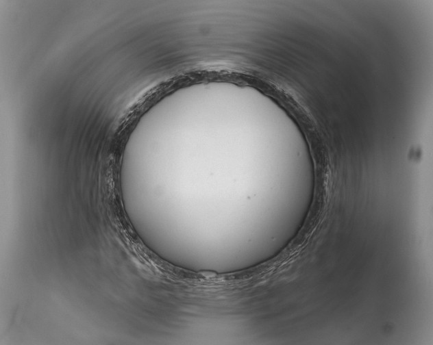 X0000114990968200911091331
