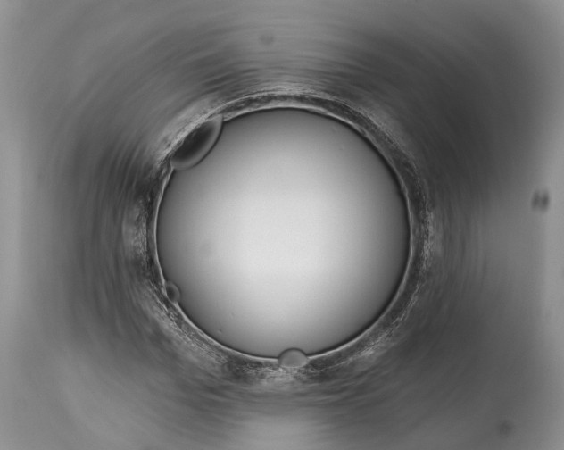 X0000114990969200911091331