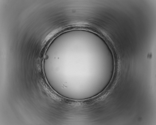 X0000114990970200911091331