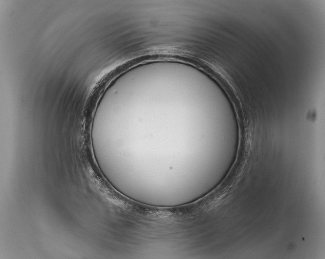 X0000114990971200911091331