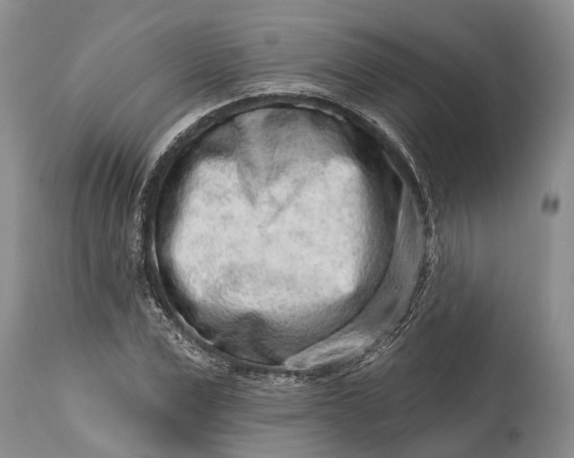 X0000114990975200911091331