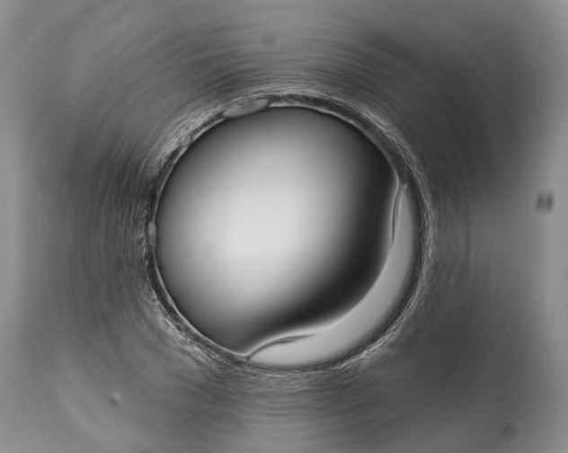 X0000114990977200911091331