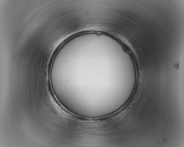X0000114990980200911091331