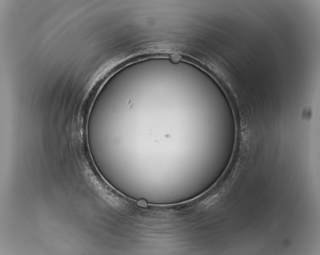 X0000114990981200911091331