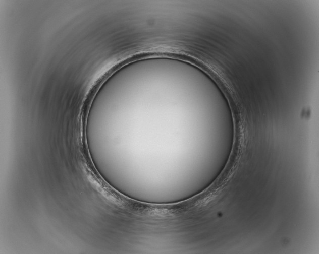 X0000114990982200911091331