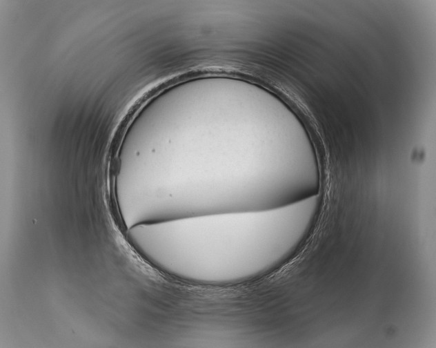 X0000114990984200911091331