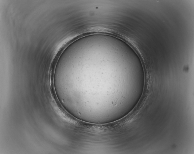X0000114990987200911091331