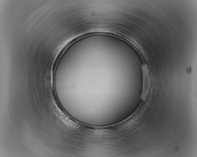 X0000114990988200911091331
