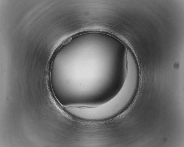 X0000114990989200911091331