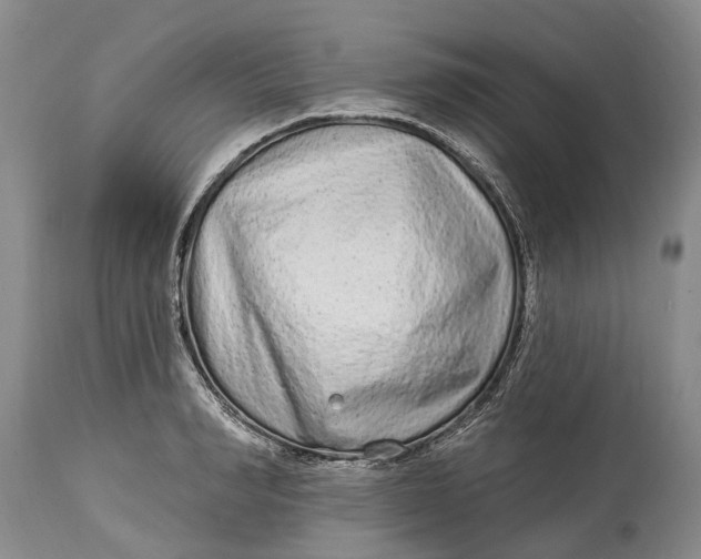 X0000114990990200911091331
