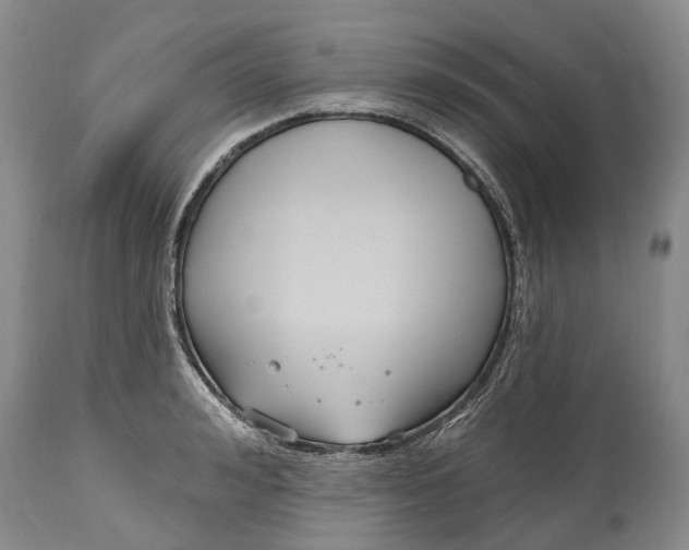 X0000114990992200911091331