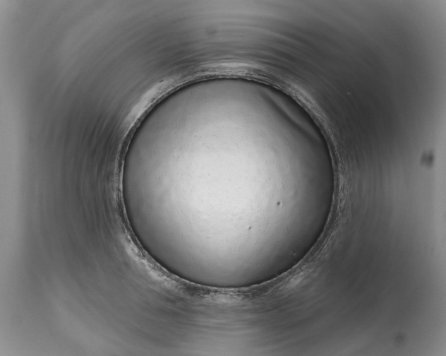 X0000114990994200911091330