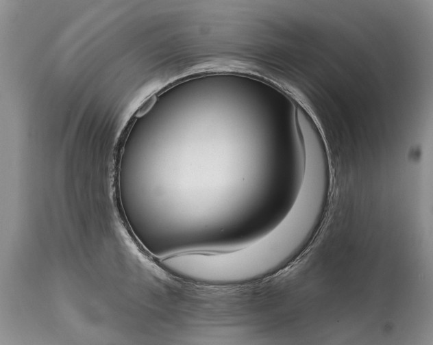 X0000114990997200911091330