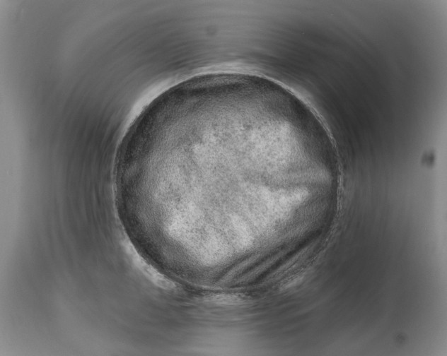 X0000114990998200911091330