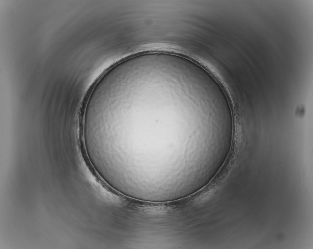 X0000114990999200911091330