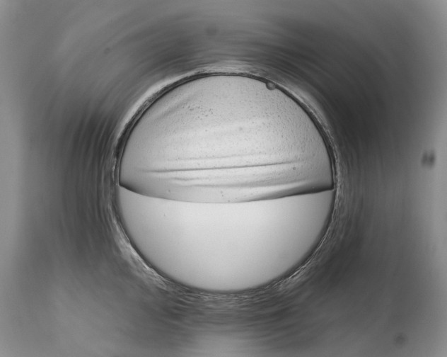 X0000114991000200911091330
