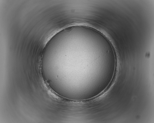 X0000114991001200911091330