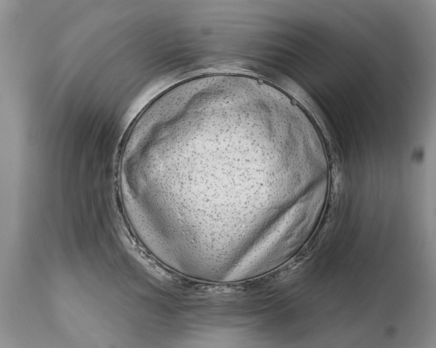 X0000114991002200911091330