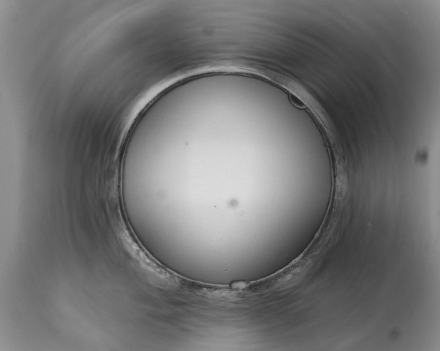 X0000114991004200911091330