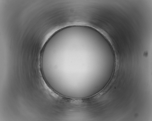 X0000114991006200911091330