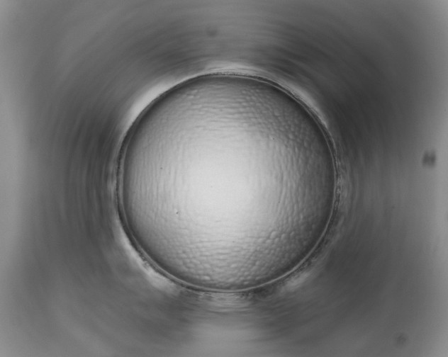 X0000114991007200911091330