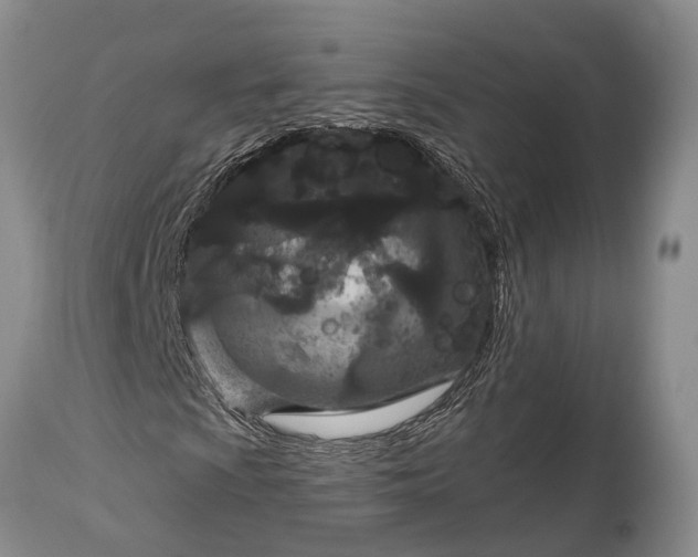 X0000114991009200911091330