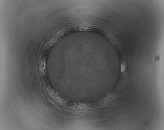 X0000114991011200911091330