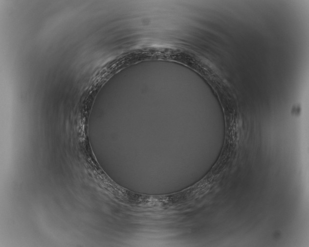 X0000114991013200911091330