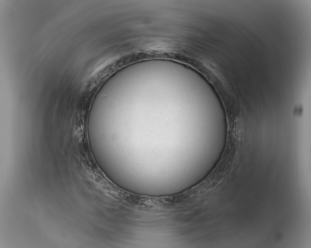 X0000114991015200911091330