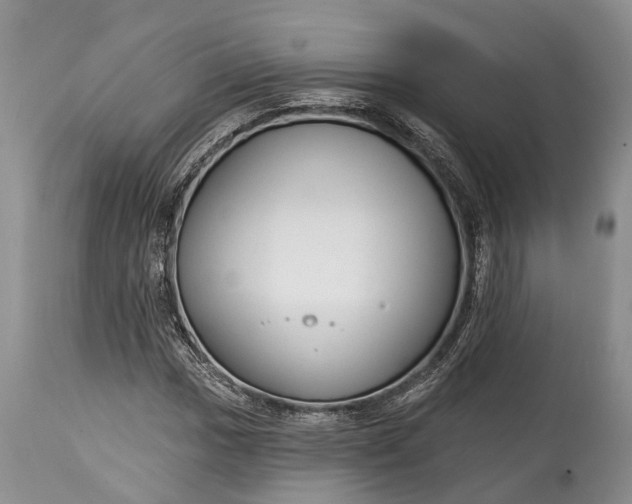 X0000114991017200911091330
