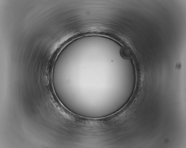X0000114991018200911091330