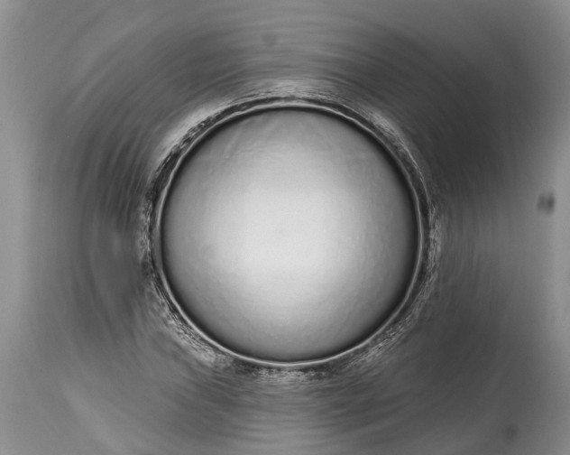 X0000114991019200911091330