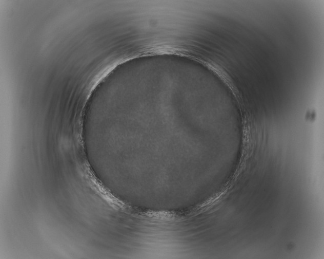 X0000114991023200911091330