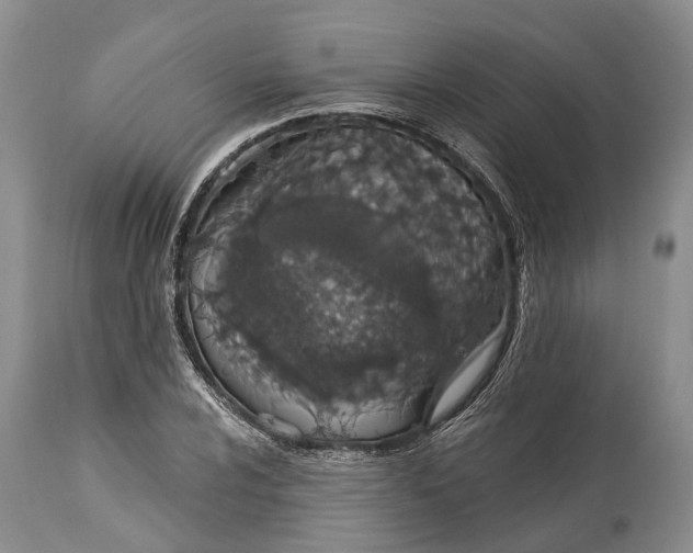 X0000114991024200911091330